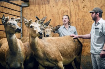 Tom and Sam with Deer 1